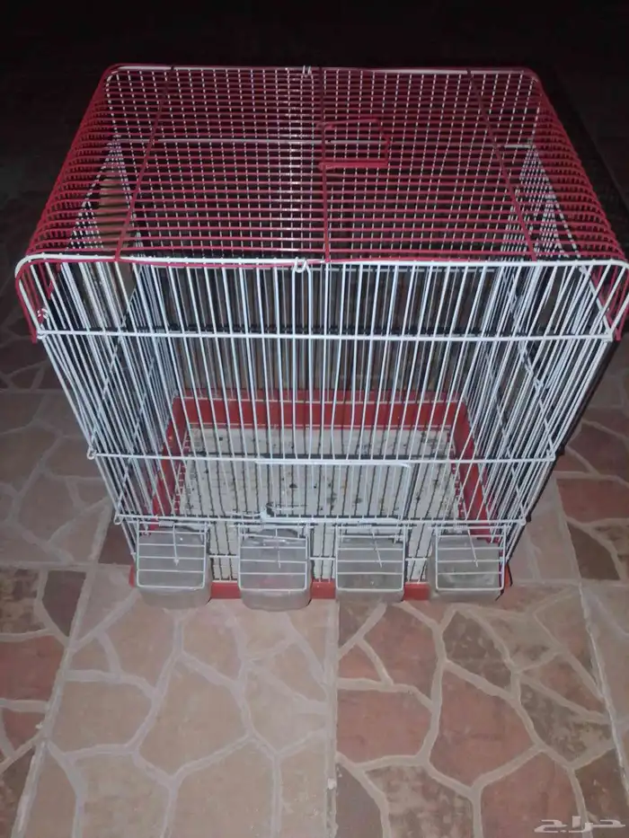 كروان لاتينو اليف 4