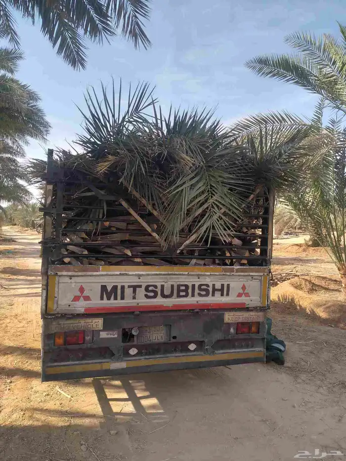 سعف جديد أخضر للعرايش والمظلات 0