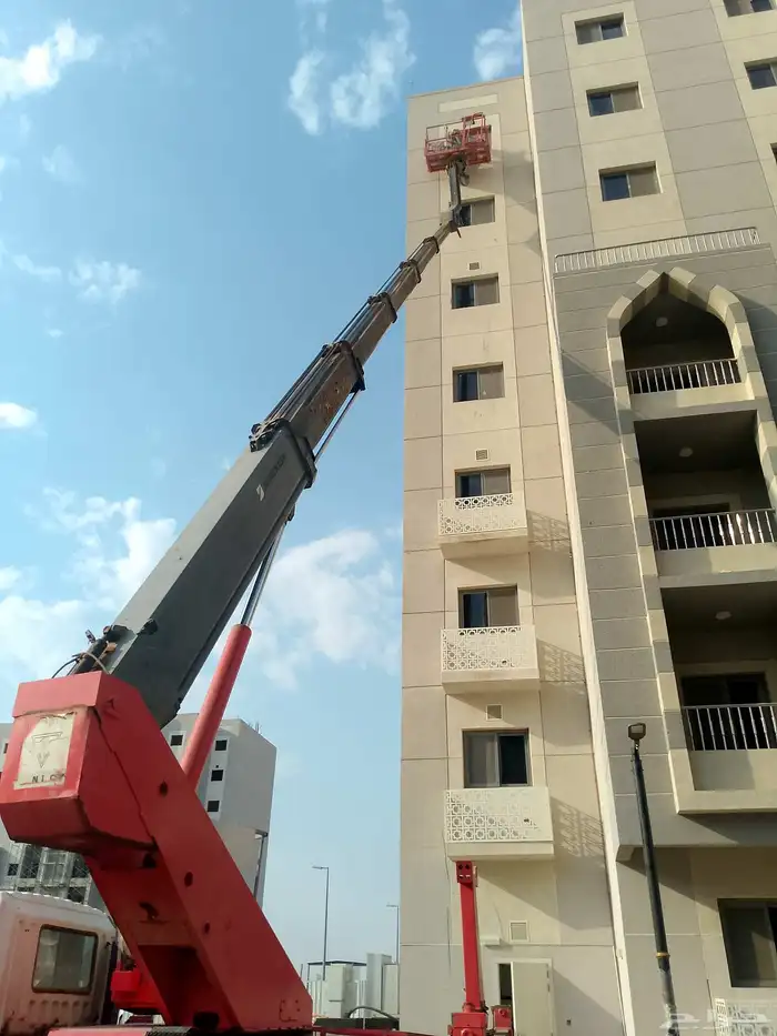 سطحه سله ورافعات شوكيه 0