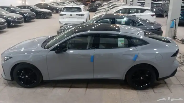 شانجان يوني في اليت 2026 8