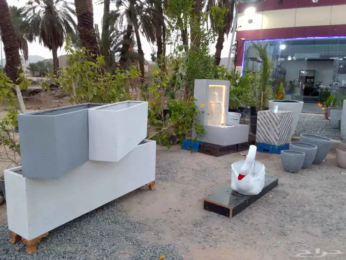 مؤسسة زهرة الخليج الزراعية -نجران -دحضة 8