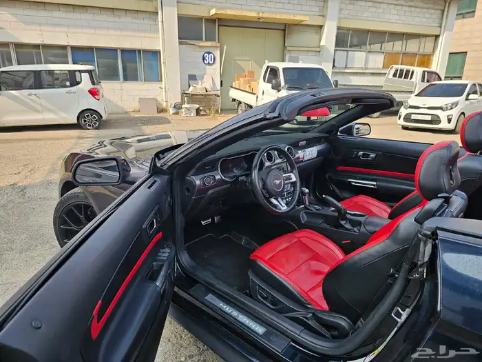 موستنج 2021 كشف(بحاله ممتازة) 6