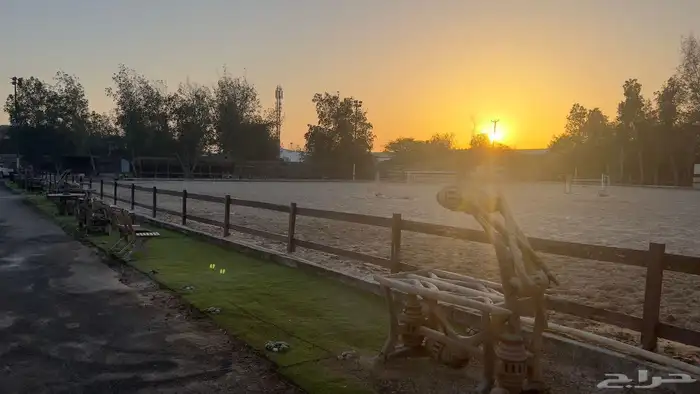 15 غرفة متوفرة للإيواء أو الإيجار 6