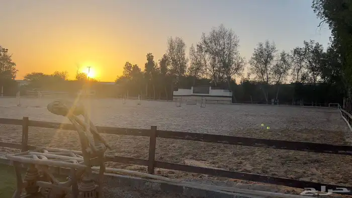 15 غرفة متوفرة للإيواء أو الإيجار 7