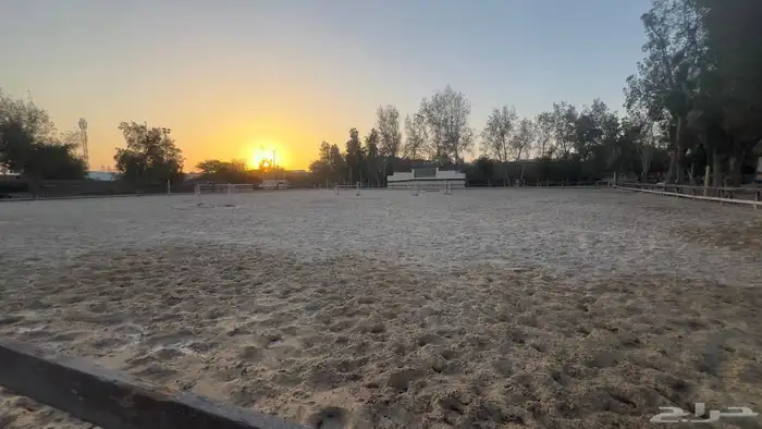 15 غرفة متوفرة للإيواء أو الإيجار 5