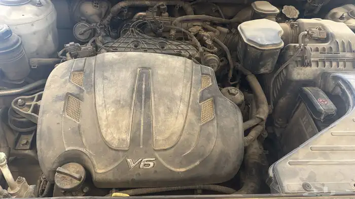 سنتافي 2012 10