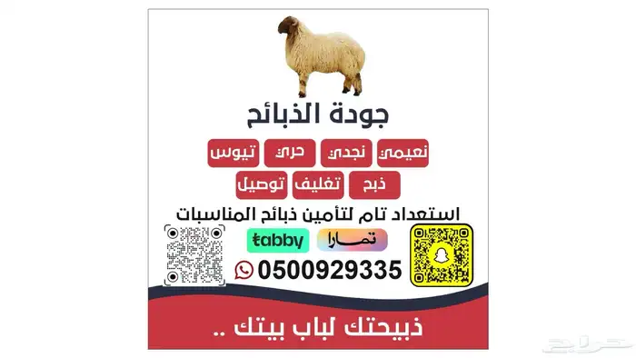 ذبايح بلدي شرط نصف ذبيحة او ذبيحة كامله 0