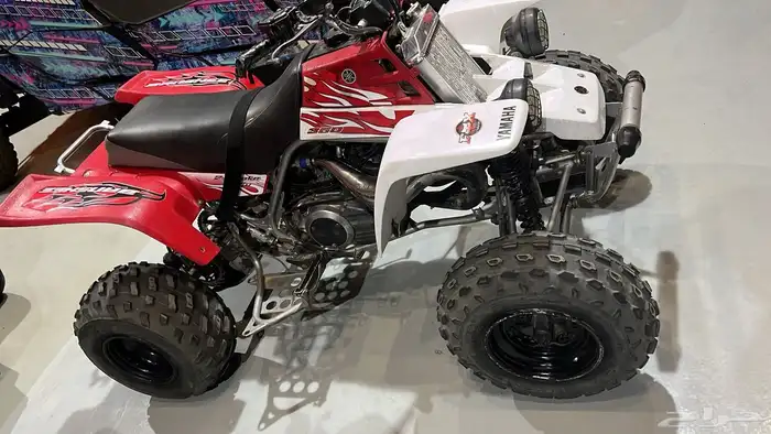 بانشي للبيع 3