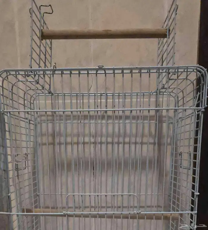 للبيع قفص كبير طيور ببغاء كاسكو- امازوني- مكاو 3