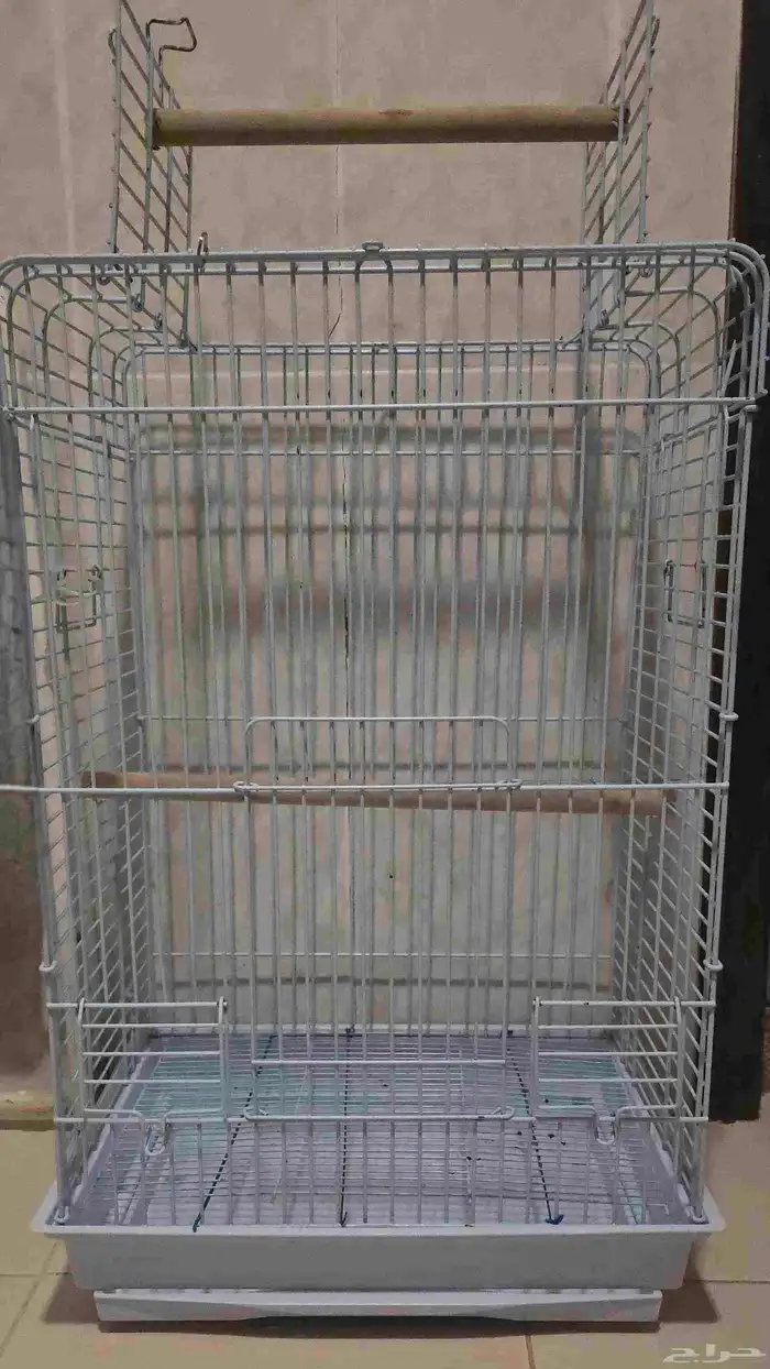 للبيع قفص كبير طيور ببغاء كاسكو- امازوني- مكاو 1