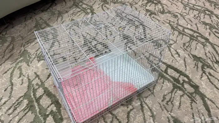 للبيع قفص 601 اخو الجديد 4