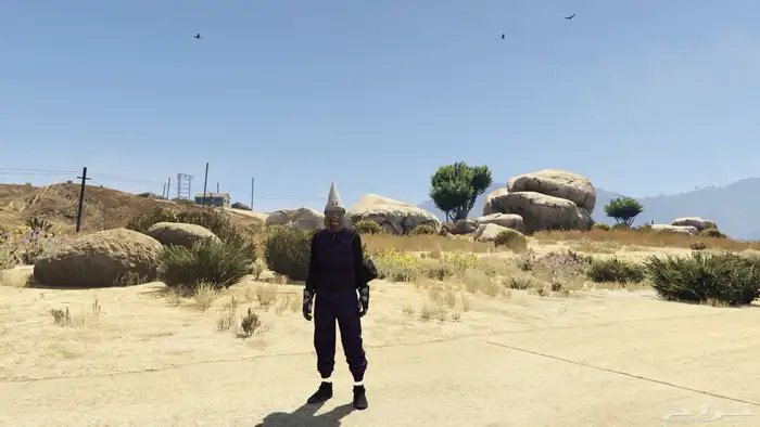 ايدي قراند محسنه 0