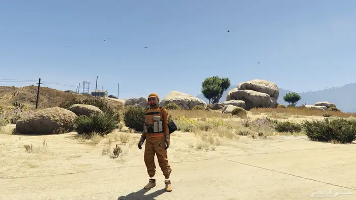 ايدي قراند محسنه 3