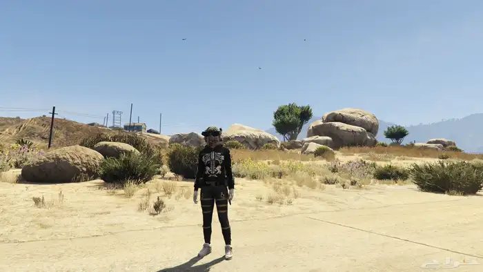 ايدي قراند محسنه 1