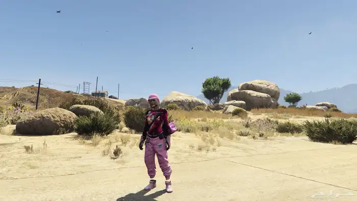 ايدي قراند محسنه 2