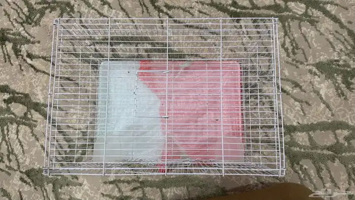 للبيع قفص 601 اخو الجديد 3