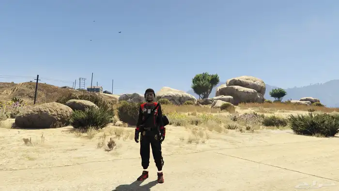 ايدي قراند محسنه 4