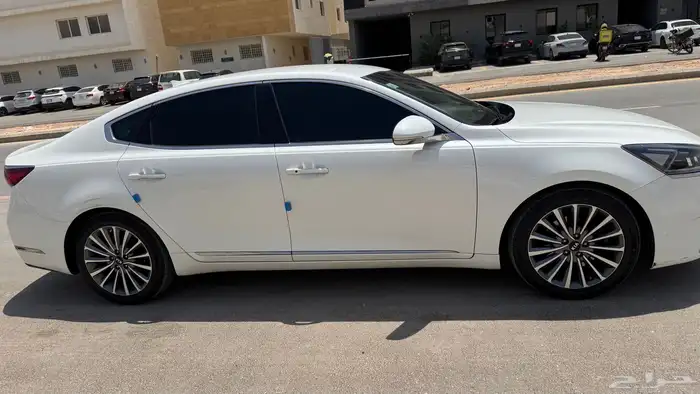 كادينزا 2019 k7 6