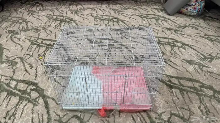 للبيع قفص 601 اخو الجديد 0