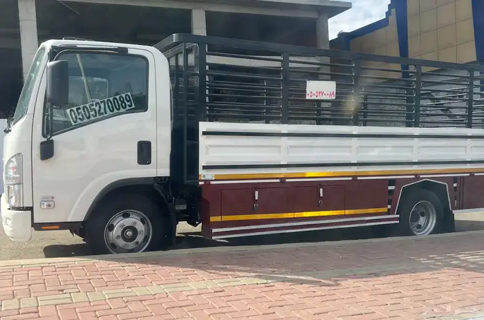 دينا لنقل والعفش والحلال 0