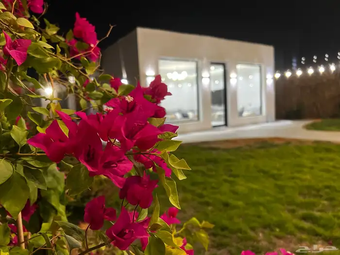 مخيم نواه للأيجار اليومي 0