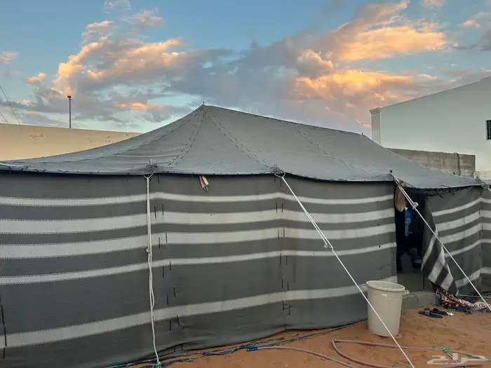 بيت شعر 11 في 6 2