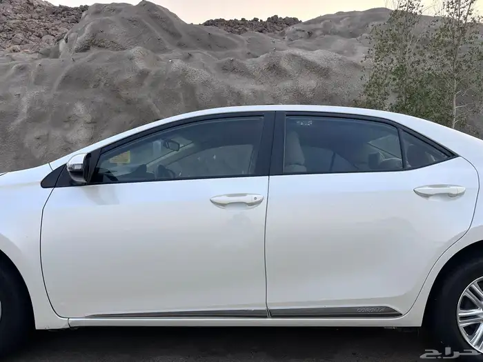 تم البيع الله يبارك للمشتري 14