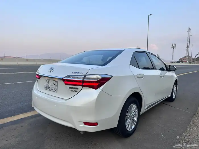 تم البيع الله يبارك للمشتري 20