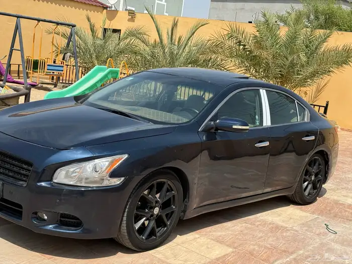 مكسيما 2011 17