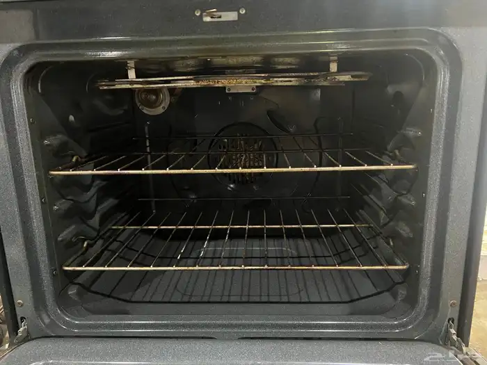 قز كهرب للبيع 2