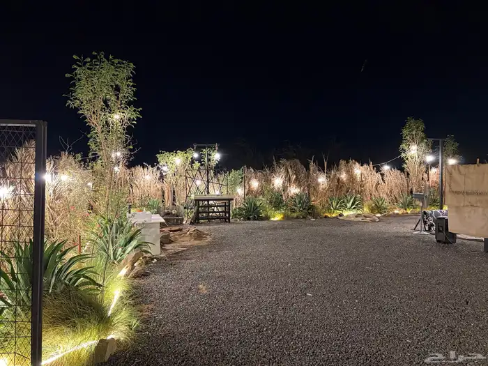 مخيم إيفا للإيجار اليومي جدة خط بريمان 9