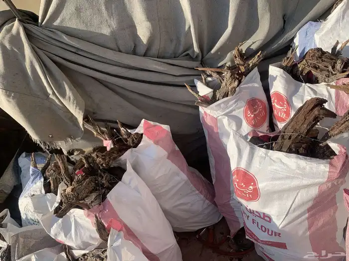 دفاية الشتاء 0