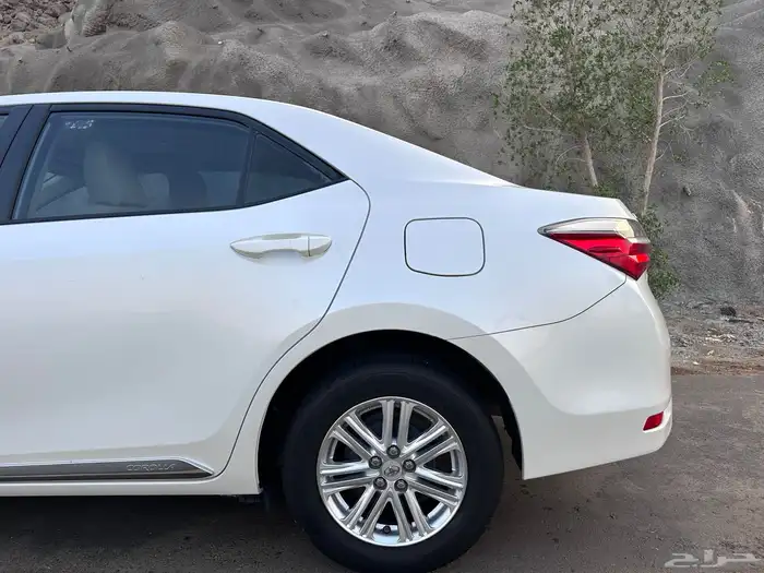 تم البيع الله يبارك للمشتري 15