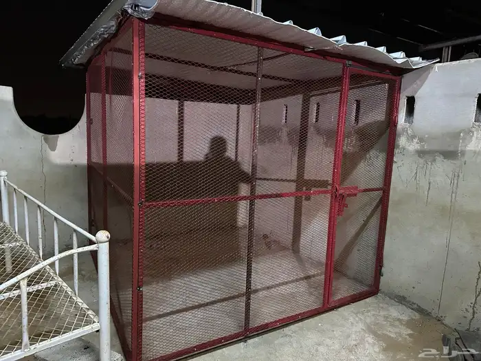 شبوك محاكر اقفاص 9