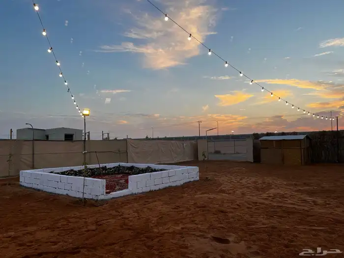 مخيم نواه للأيجار اليومي 17