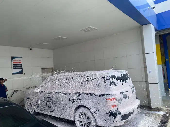 فورد فليكس موديل 2009 للبيع 17