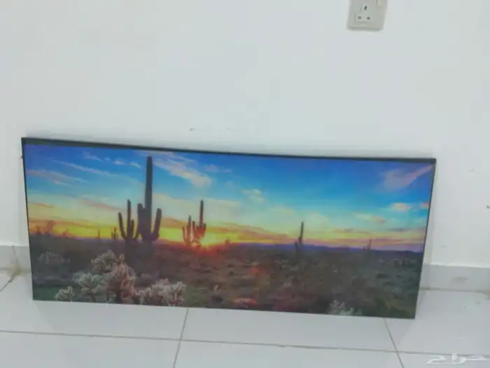 لوحات فنيه 1