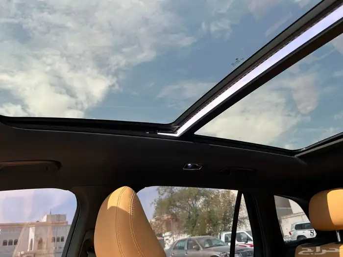 جيلي مونجارو 15