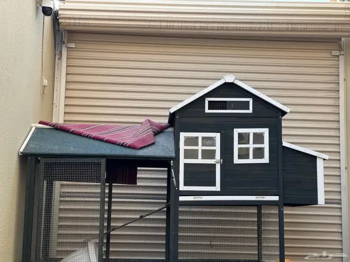 كوخ دجاج خشب 0