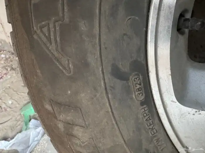 جنوط جيب ربع رفرف 12