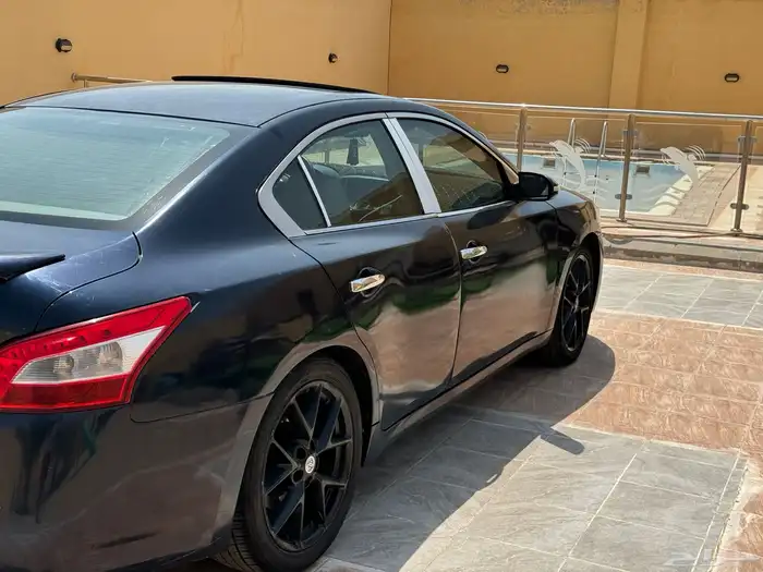 مكسيما 2011 19