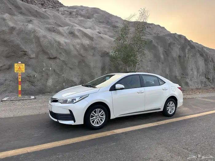 تم البيع الله يبارك للمشتري 0