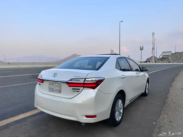 تم البيع الله يبارك للمشتري 22