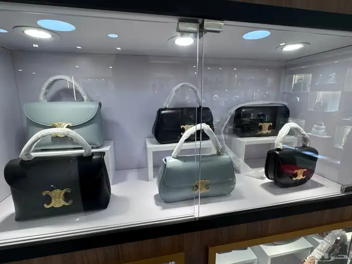 شنط براندات  شنط ماركة  شنط جوتشي   شنط لويس فوتون 17