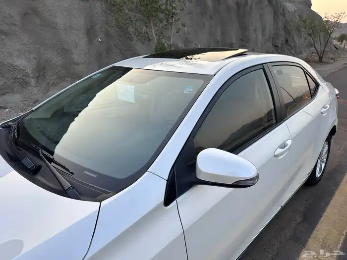 تم البيع الله يبارك للمشتري 30