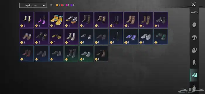 حساب ببجي 14