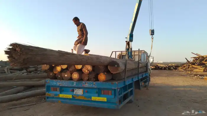 ونش دينه 6 متر متواجد في تبراك 1