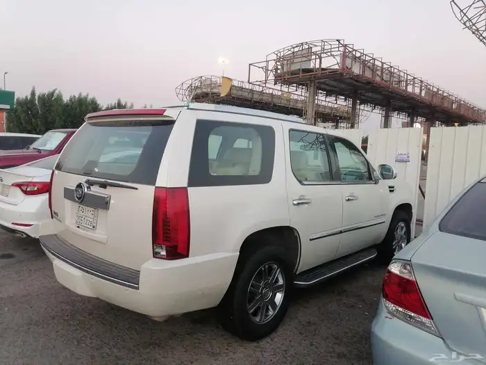 كدلك سكاليد 1