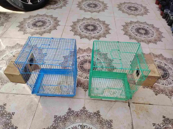 شبوك طيور العدد 4 5