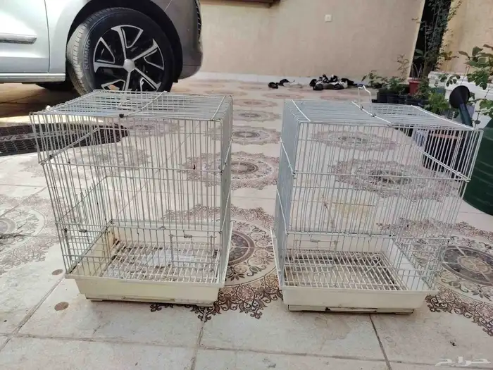 شبوك طيور العدد 4 0